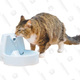 Drinkwell Pet Fountain | $25 | Amazon Gold Box